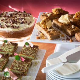 {{brizy_dc_image_alt imageSrc=